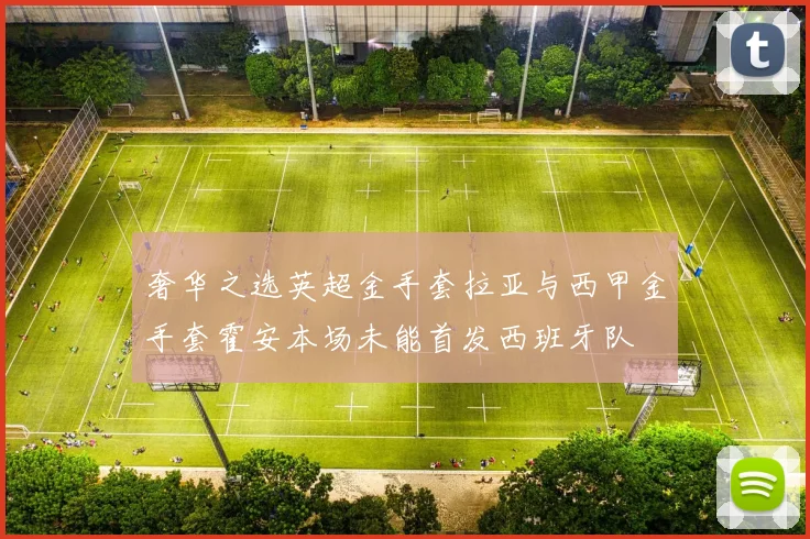 奢华之选英超金手套拉亚与西甲金手套霍安本场未能首发西班牙队
